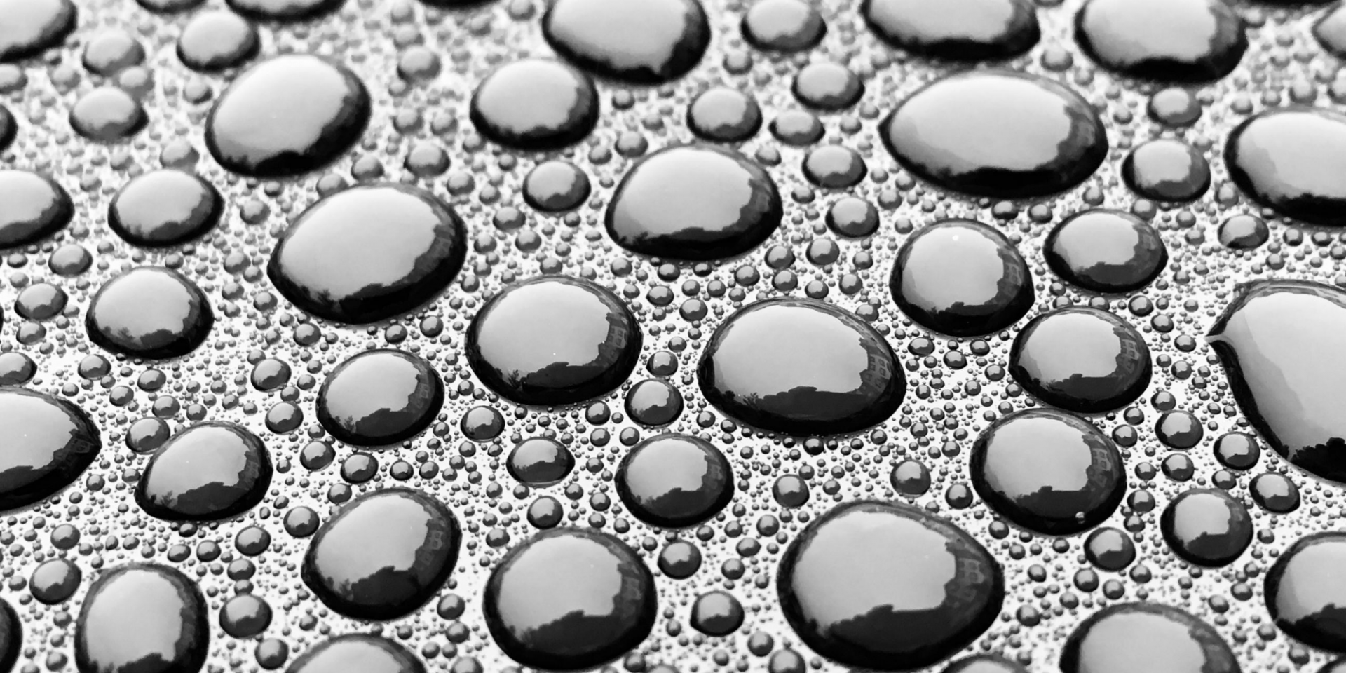 paint sealant vs ceramic coating