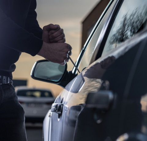 Authentic Canadian Protection and Sorries