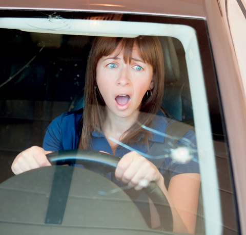 The Average Canadian Replaces One Window Per Year Due To Weather Damage